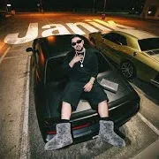 Janik